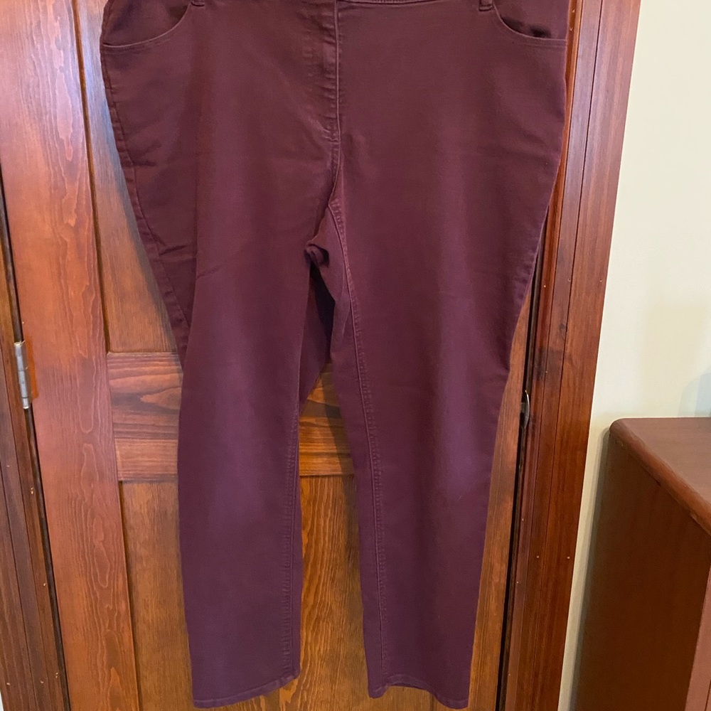 Violets and Roses Skinny Pant